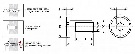 ЗУБР M6 x 12 мм, шест. 4 мм, гайка Эриксона с плоской головкой, цинк, 5 кг, Профессионал (303770-4)